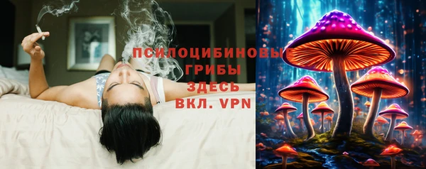 марки lsd Дмитриев